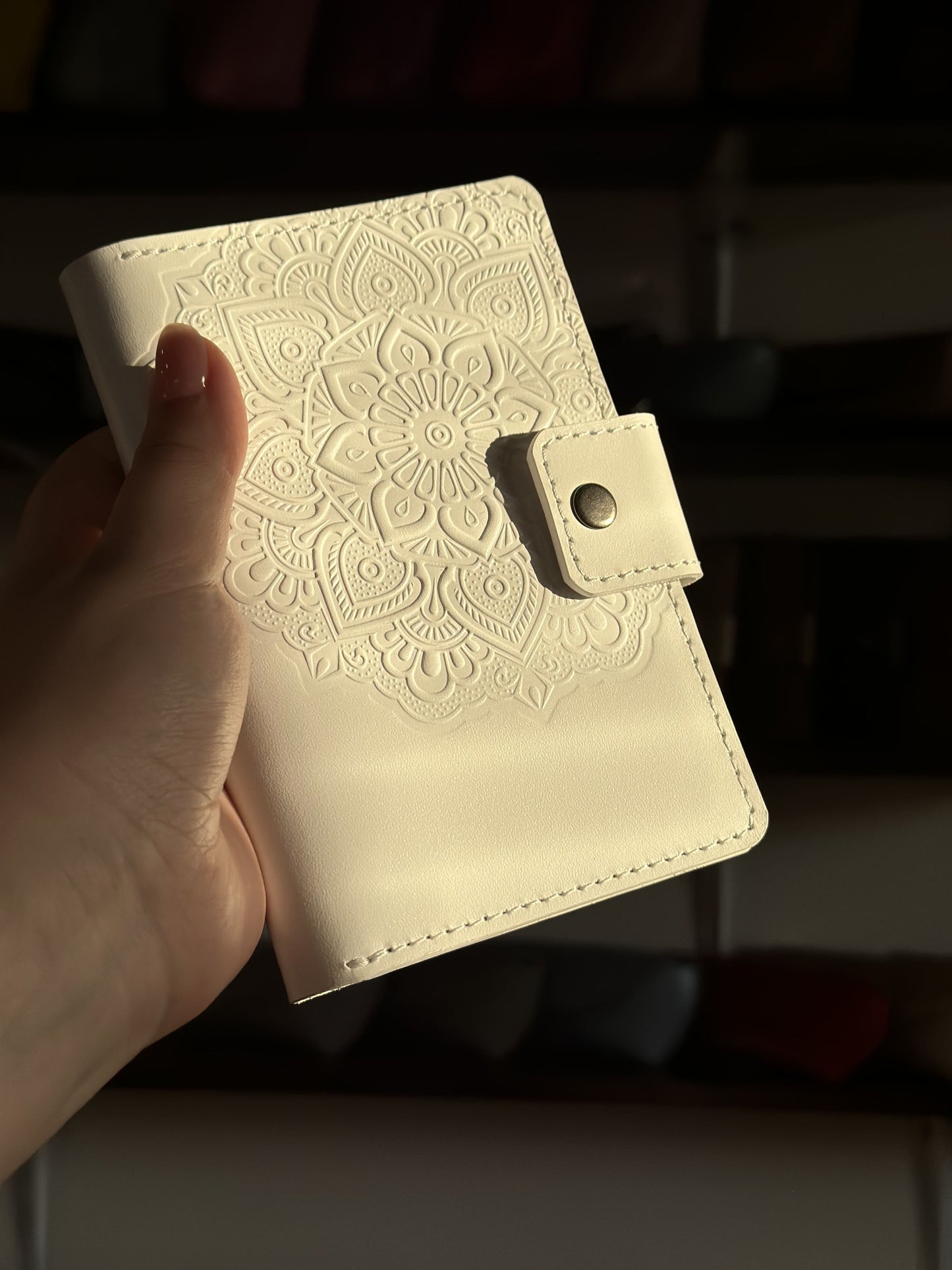 Leather document organizer