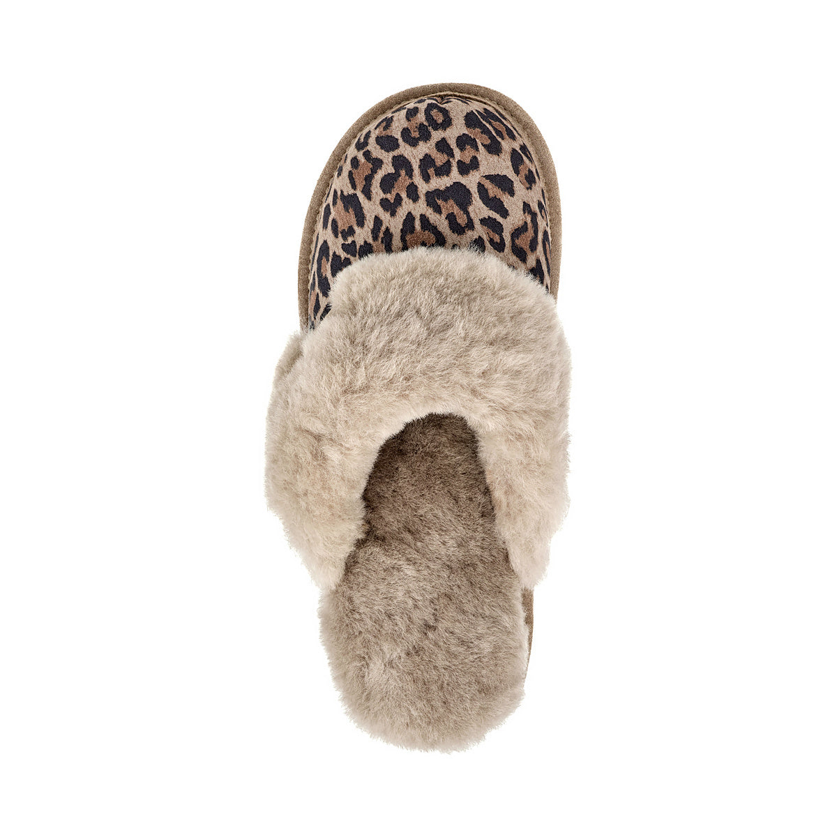 Women's slippers PANTHER