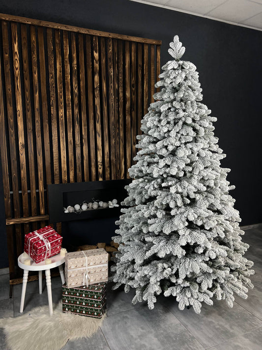 Snow-covered “Triumph” Christmas tree -  2.3 m.