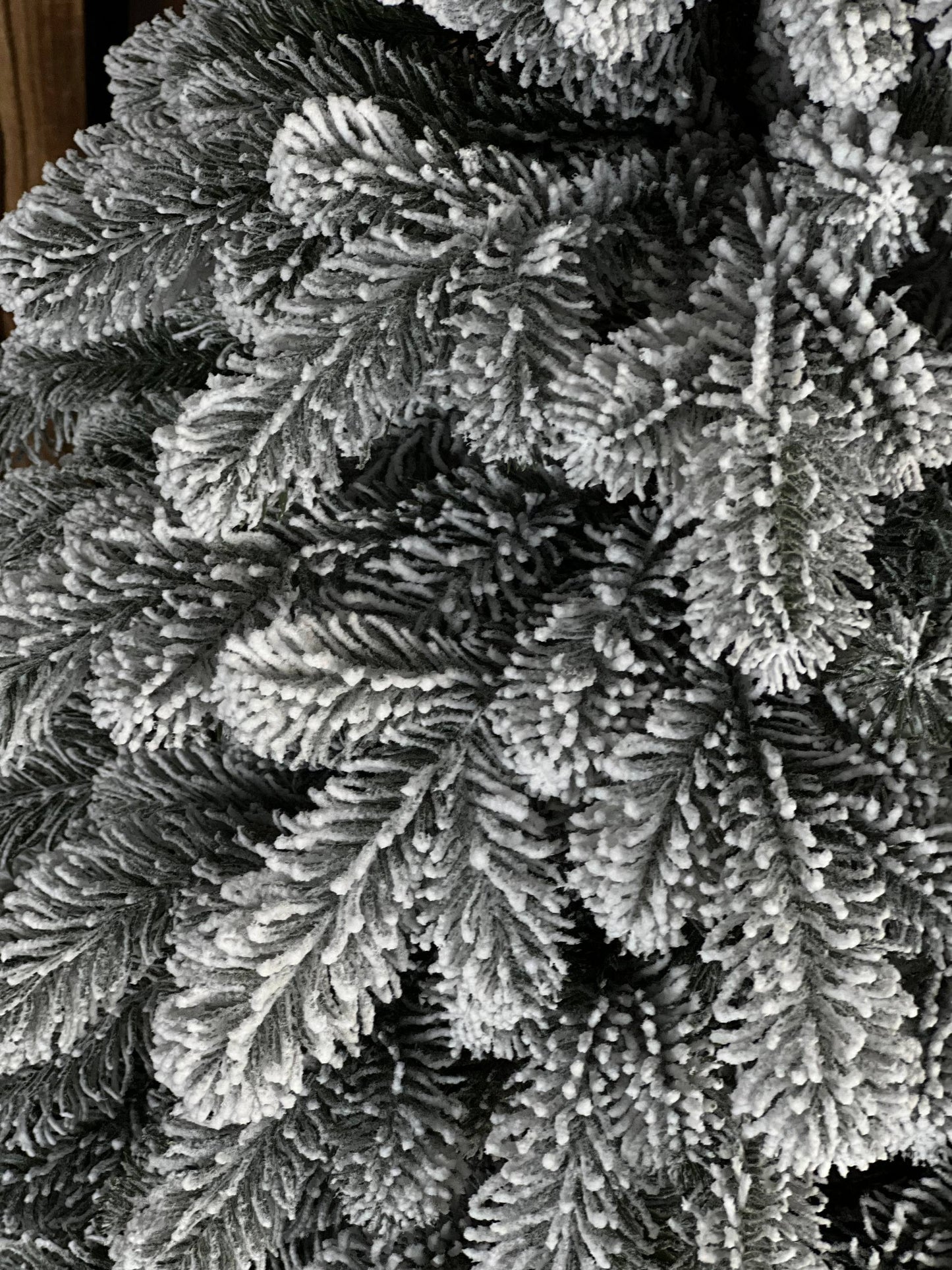 Snow-covered “Triumph” Christmas tree - 1.8 m.