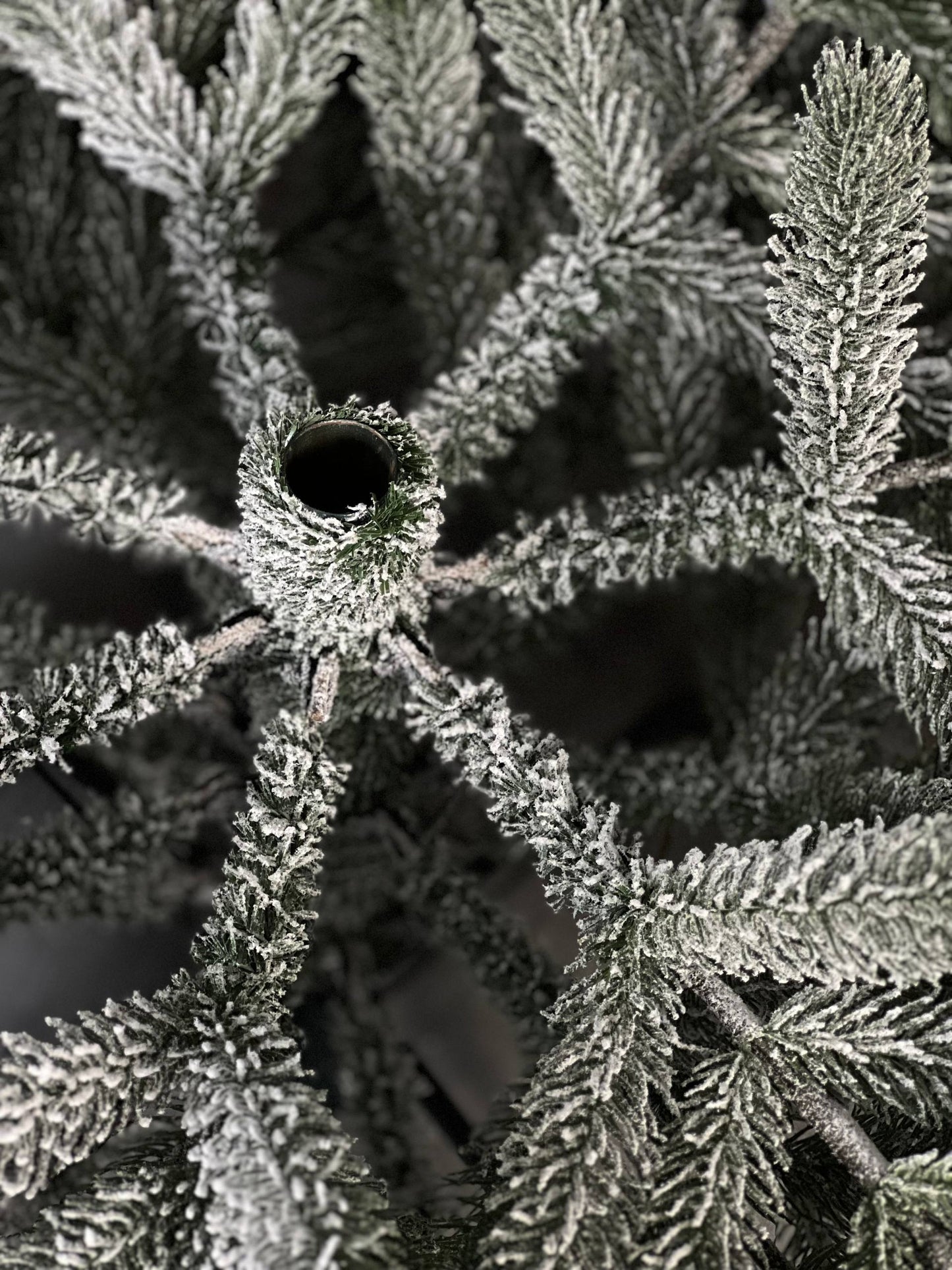Snow-covered “Triumph” Christmas tree - 1.8 m.