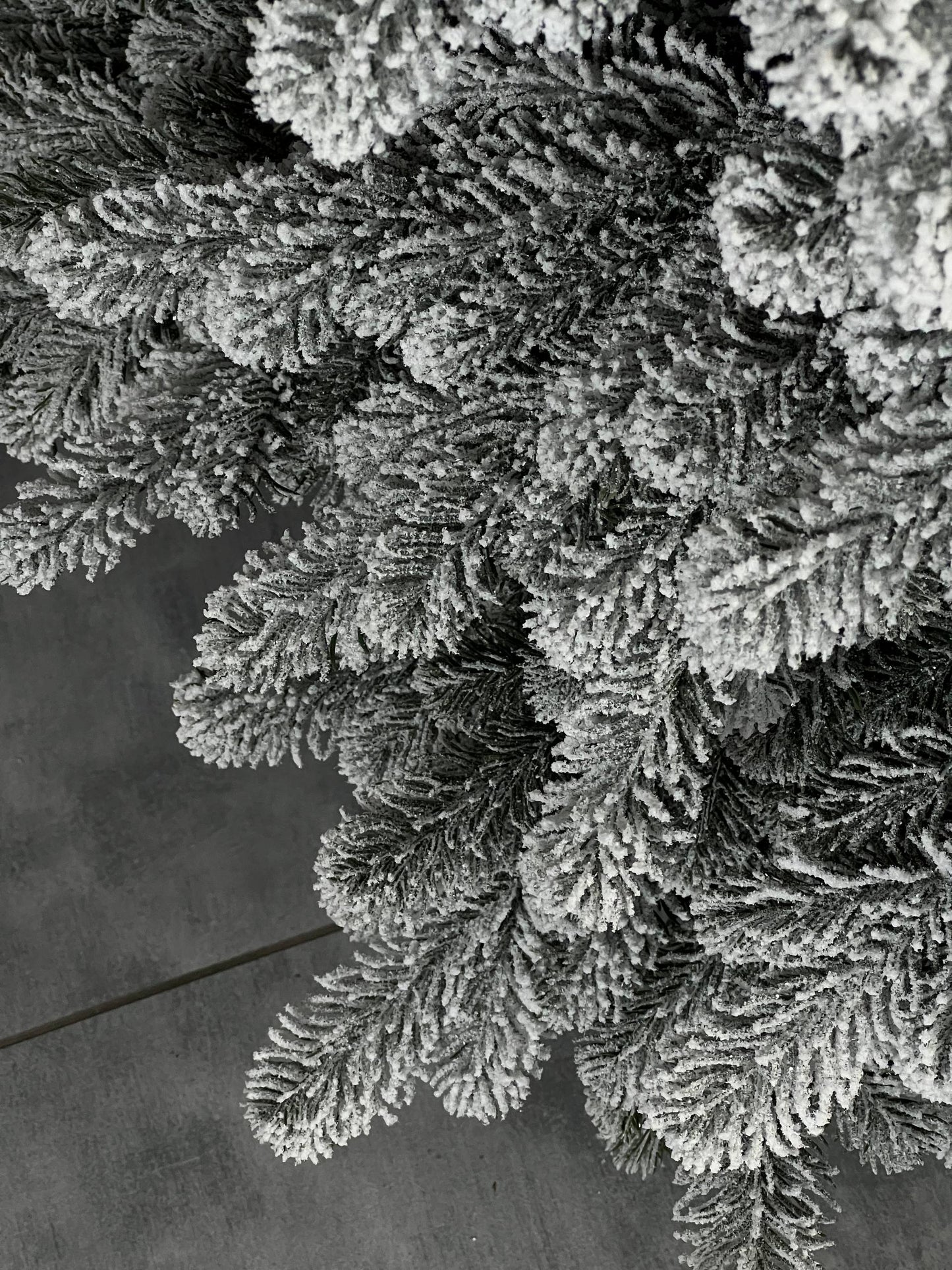 Snow-covered “Triumph” Christmas tree -  2.1 m.