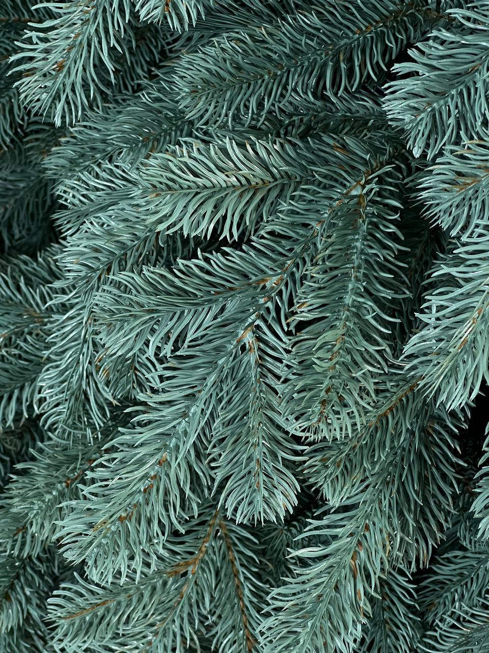 Triumph blue Christmas tree on a string - 2.3 m.